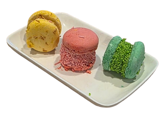 Macaron Ice Cream Sandwich-596